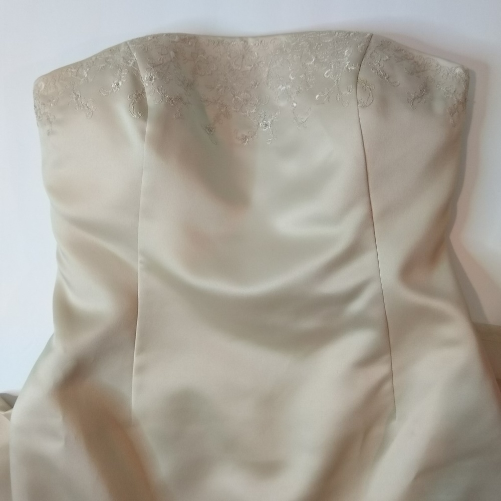 Ann Taylor Champagne Wedding Dress Size 2